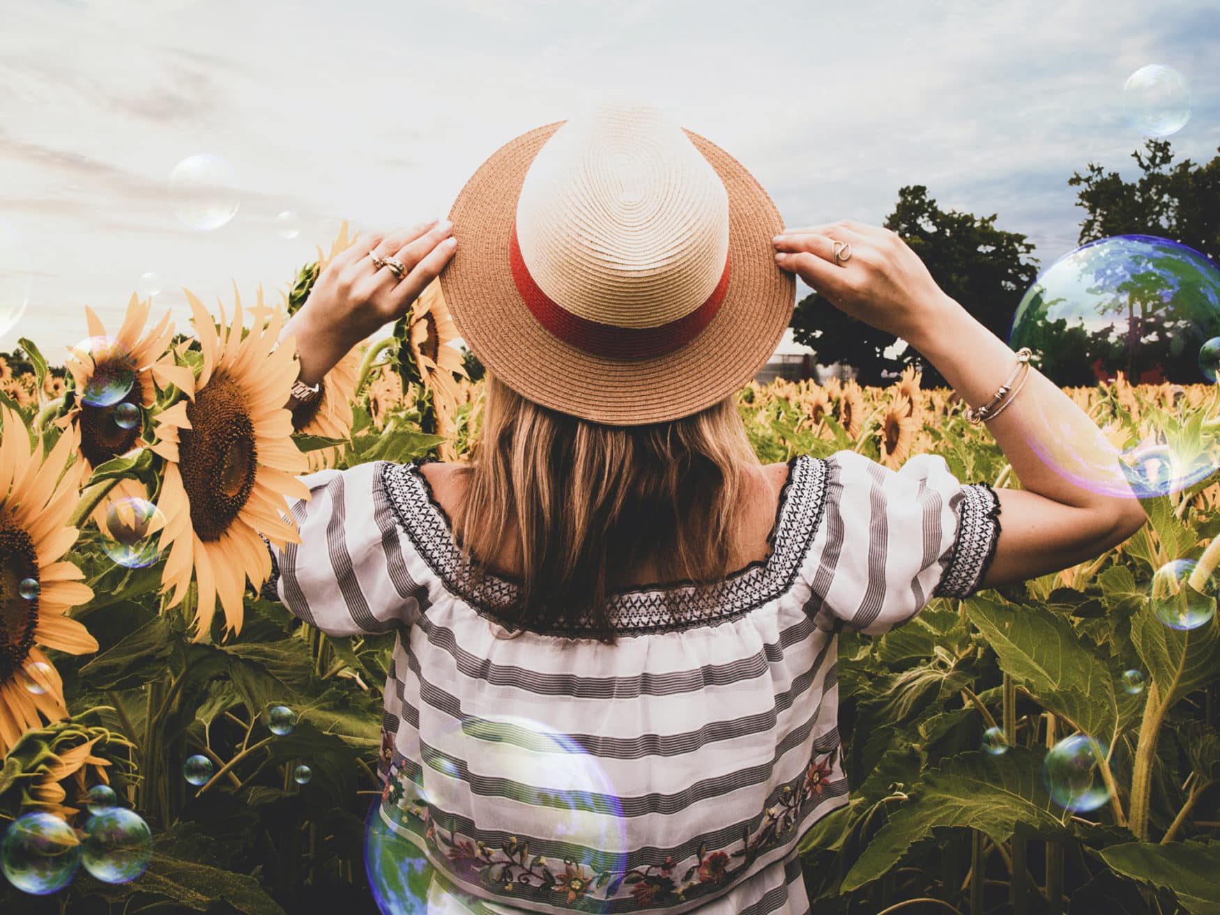 Wealden Times Fair | Midsummer & Midwinter Events