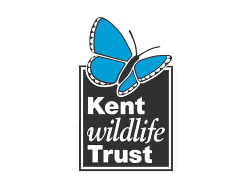 Kent Wildlife Trust | Midsummer & Midwinter Fair | Exhibitor at Wealden Times Fair.