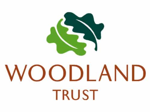 The Woodland Trust | Midsummer & Midwinter Fair | Exhibitor at Wealden Times Fair.