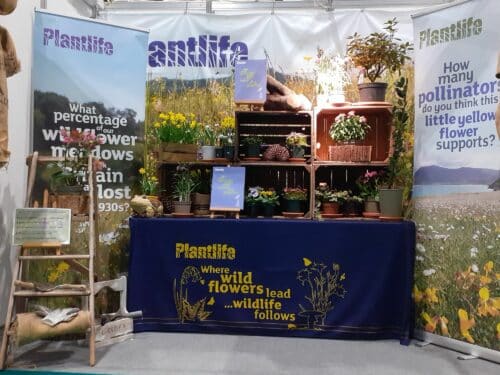 Plantlife | Midsummer & Midwinter Fair | Exhibitor at Wealden Times Fair.