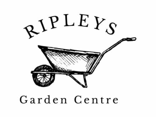 Ripleys Garden Centre | Midsummer & Midwinter Fair | Exhibitor at Wealden Times Fair.