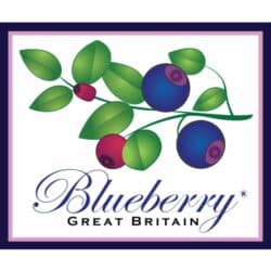 Blueberry | Midsummer & Midwinter Fair | Exhibitor at Wealden Times Fair.