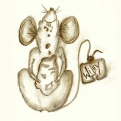Wiley Mouse Artisan Crafts | Midsummer & Midwinter Fair | Exhibitor at Wealden Times Fair.