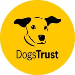 Dogs Trust | Midsummer & Midwinter Fair | Exhibitor at Wealden Times Fair.