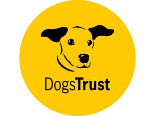 Dogs Trust | Midsummer & Midwinter Fair | Exhibitor at Wealden Times Fair.