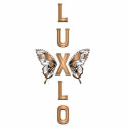 LUXLO Spirits | Midsummer & Midwinter Fair | Exhibitor at Wealden Times Fair.