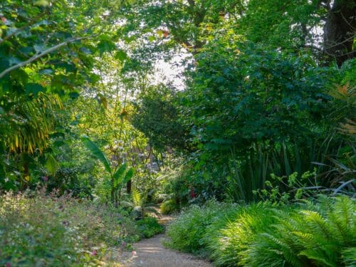 Karen McClure Garden Design | Midsummer & Midwinter Fair | Exhibitor at Wealden Times Fair.