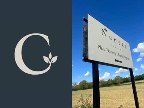 Cunningham Gardens | Midsummer & Midwinter Fair | Exhibitor at Wealden Times Fair.