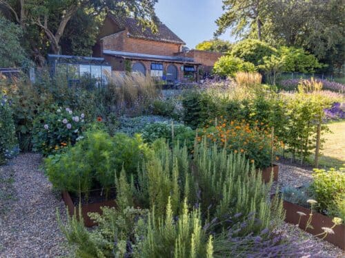 Cunningham Gardens | Midsummer & Midwinter Fair | Exhibitor at Wealden Times Fair.