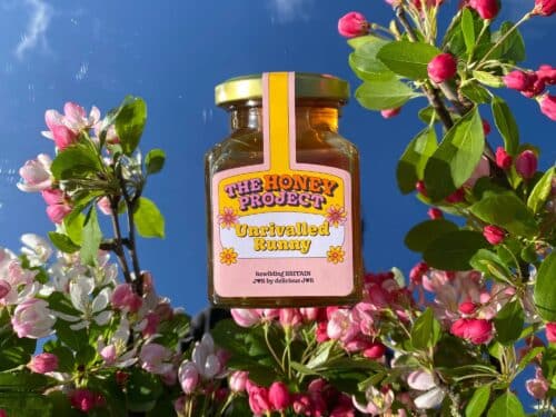 Honey Project, The | Midsummer & Midwinter Fair | Exhibitor at Wealden Times Fair.